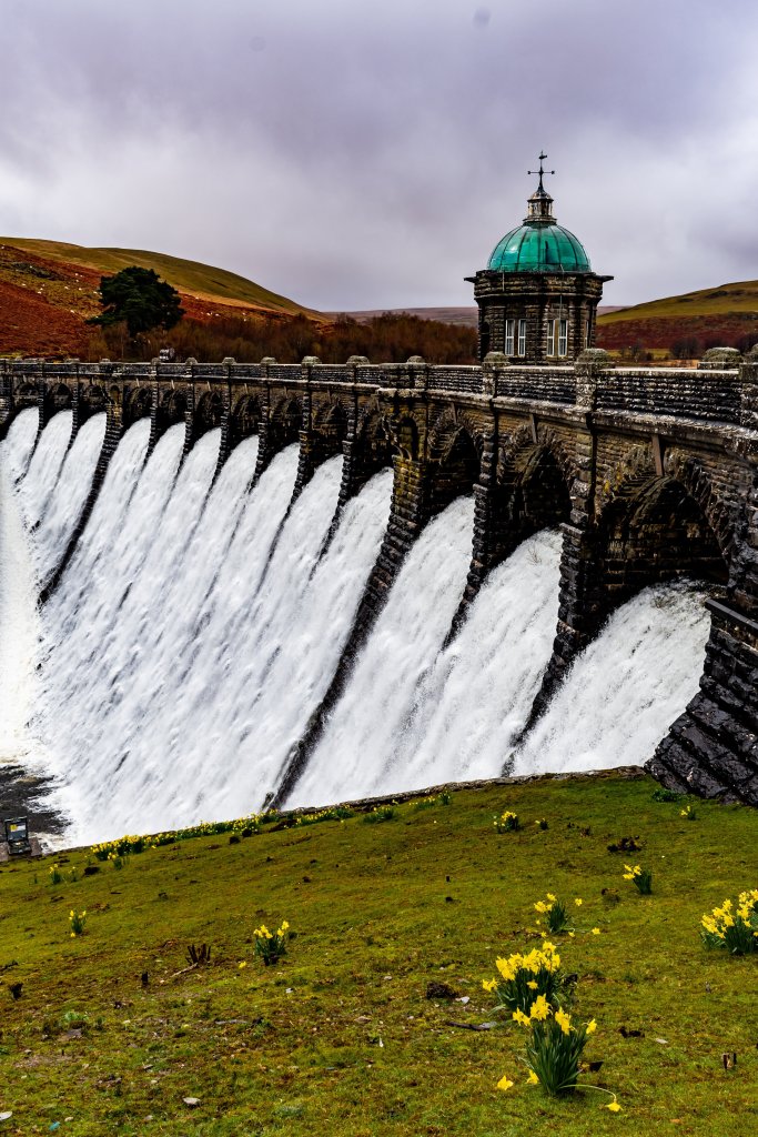 A scenic view of a large dam with cascading water, featuring a green-domed control tower and blooming daffodils in the foreground.