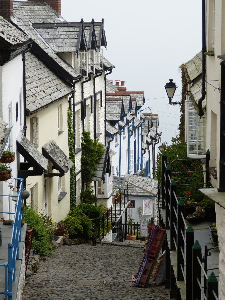 Narrow cobblestone street lined with quaint houses featuring slate roofs and colorful facades, with greenery and decorative plants visible along the path.
