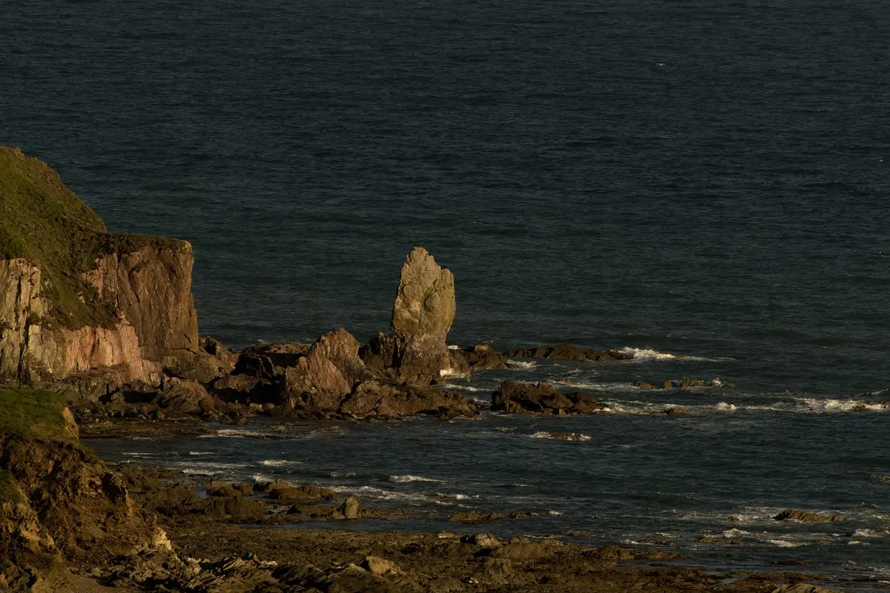Devon coast · Days Out Now image library